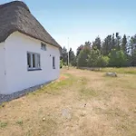 21 *